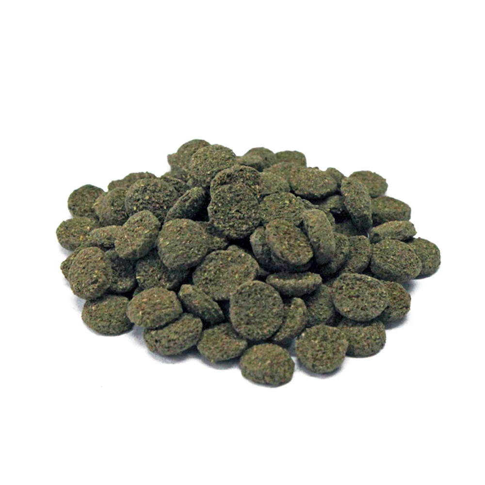 PRODAC Algae Wafers Mini – Små algwafers för bottenfiskar 250ml/135g burk - 2