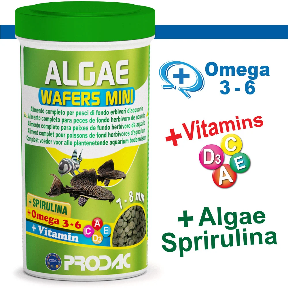 PRODAC Algae Wafers Mini – Små algwafers för bottenfiskar 250ml/135g burk