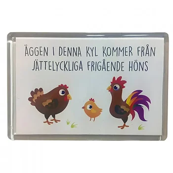 Magnet -"Äggen i denna kyl..."