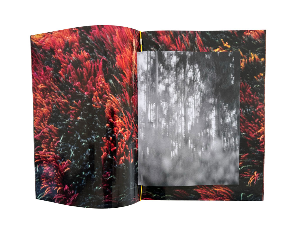 Annika Thörn Legzdins: Outopos [signed] - 2