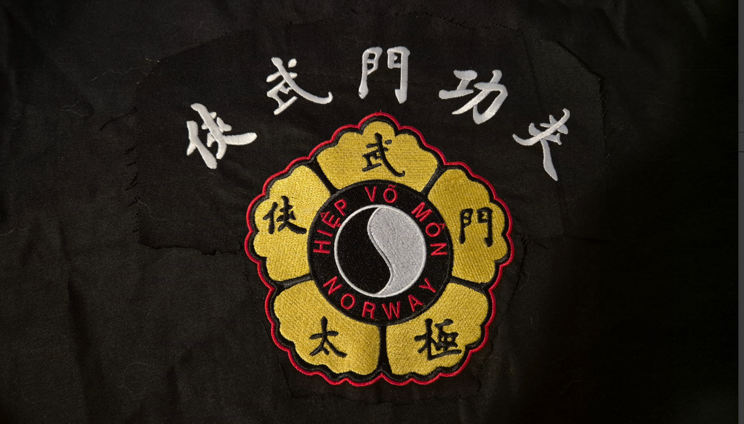 Back embroidery HVM Kung fu suit standard suit