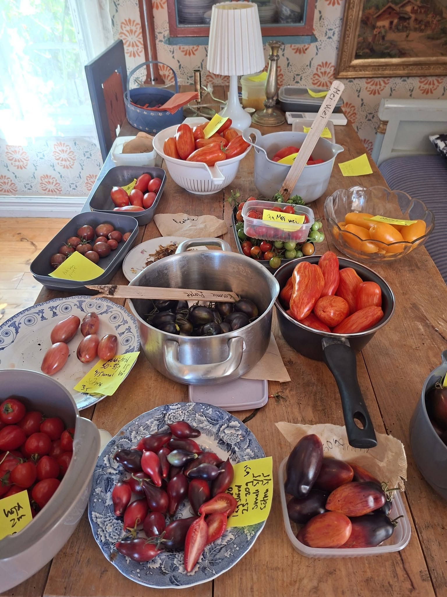 Tomatfröer,våra egna