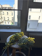 ”The Mimosa ”. AKRYLTAVLA MÅLAD AV MARIA C BERNHARDSSON / MC