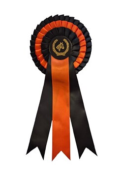 Hästrosett 3 kok, 3 bredare band - SVART/ORANGE, 31 cm