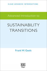 Advanced Introduction to Sustainability Transitions
