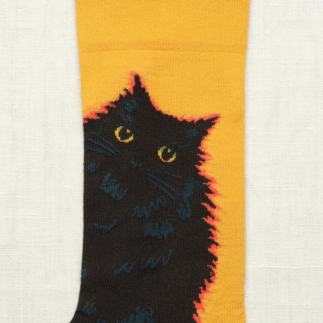 Bonne Maison Goldilocks cat - 2