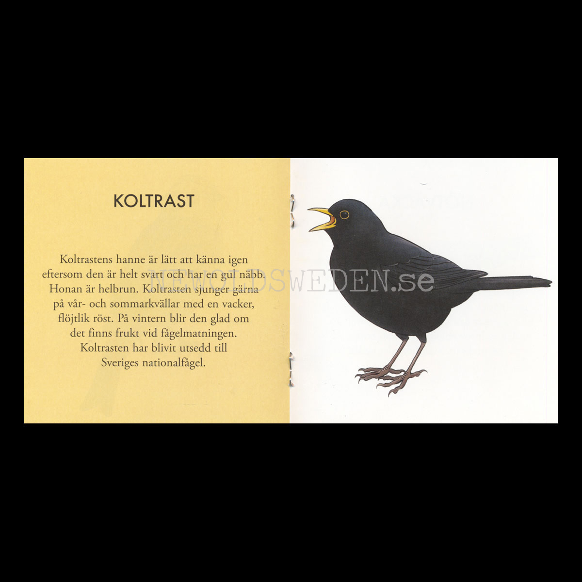 VINTERFÅGLAR - pixiböcker - P24 - 23 - 2