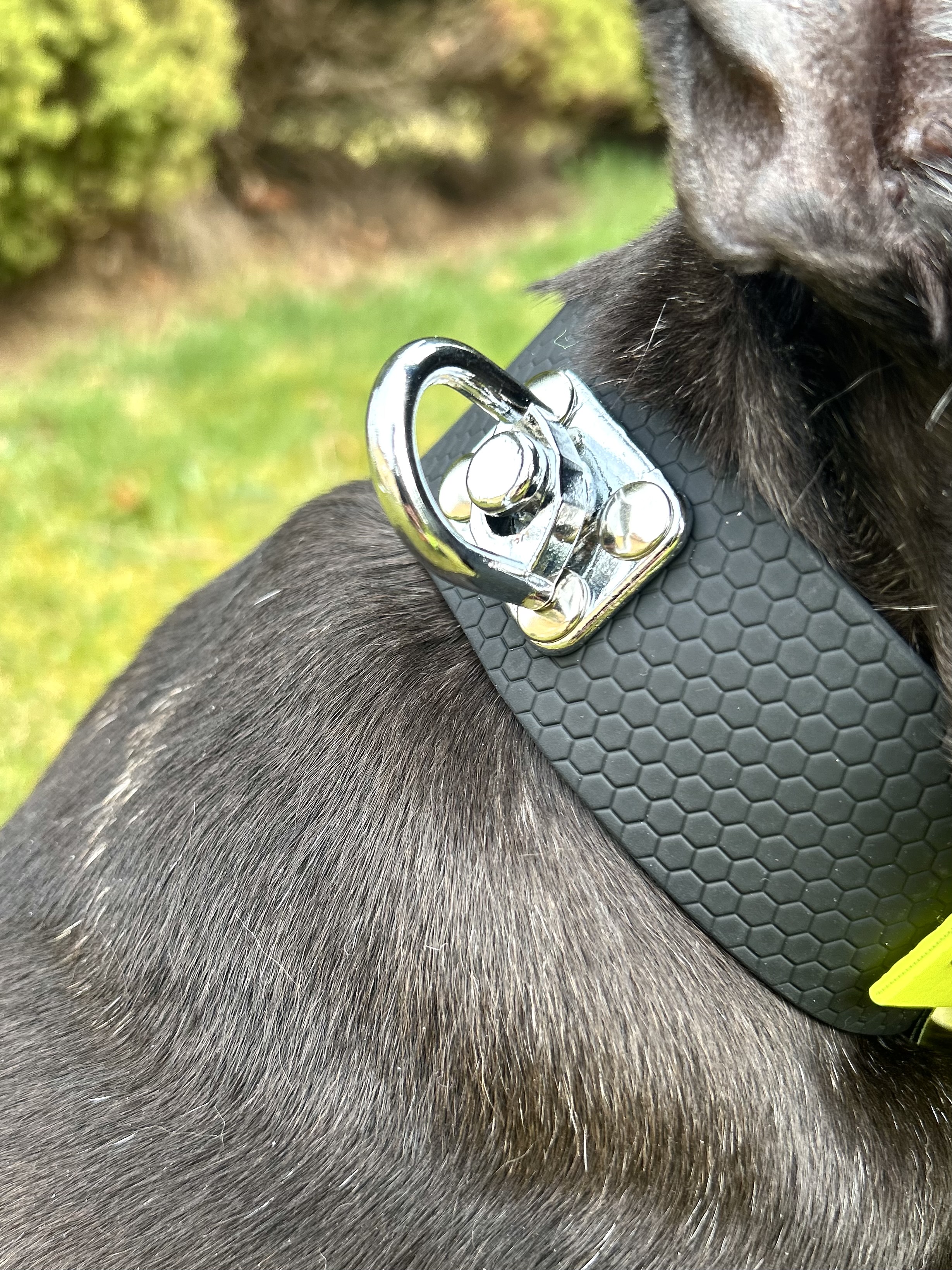 Spår-halsband i Hexa - 3