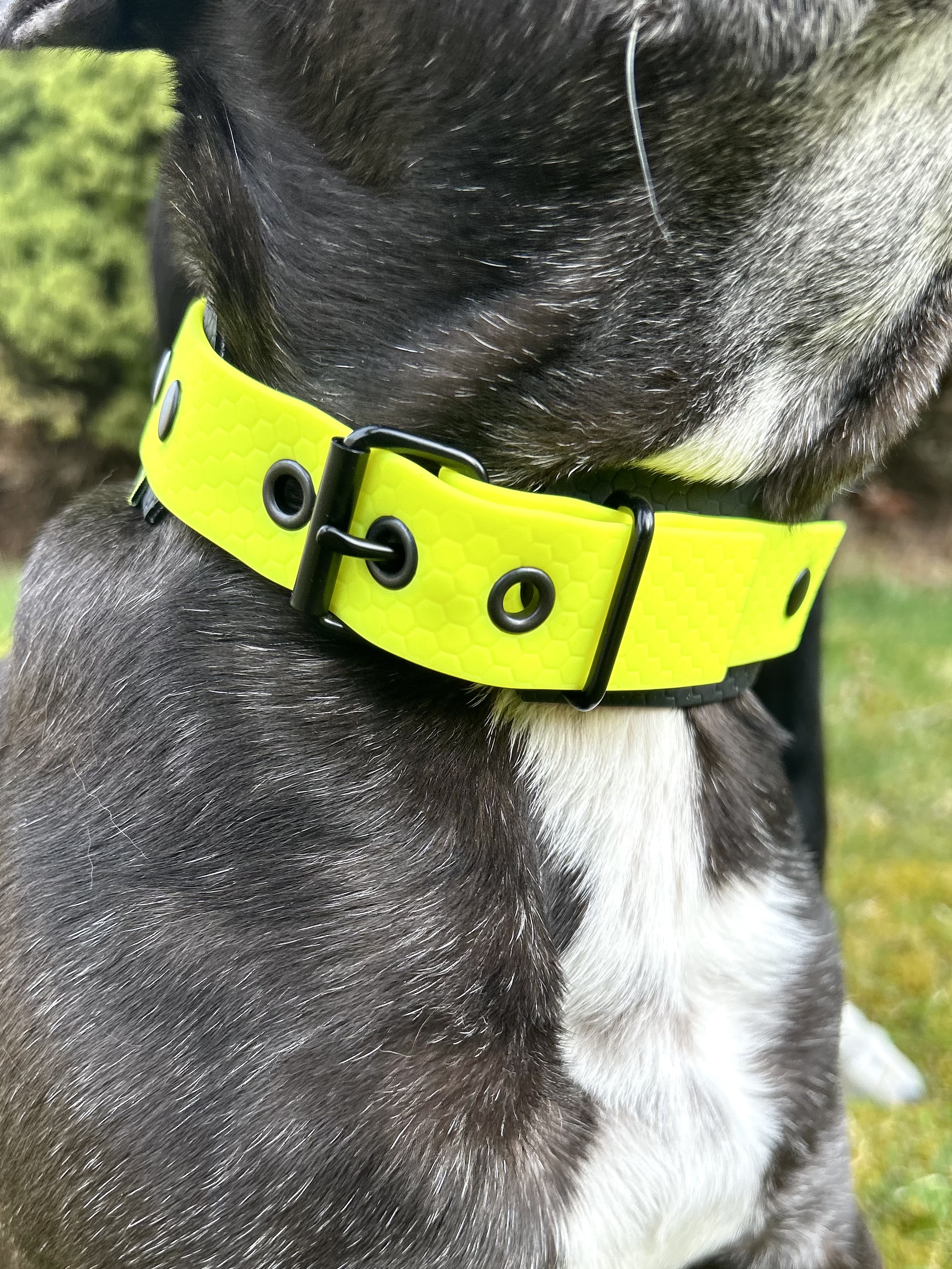 Spår-halsband i Hexa - 9