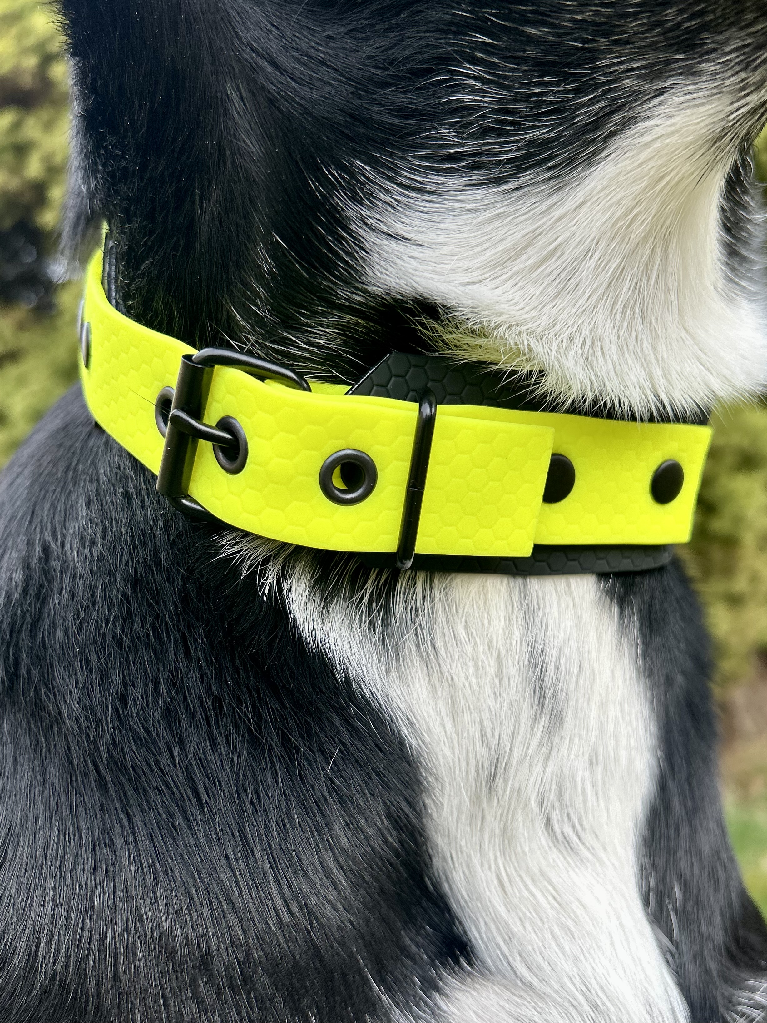 Spår-halsband i Hexa - 5