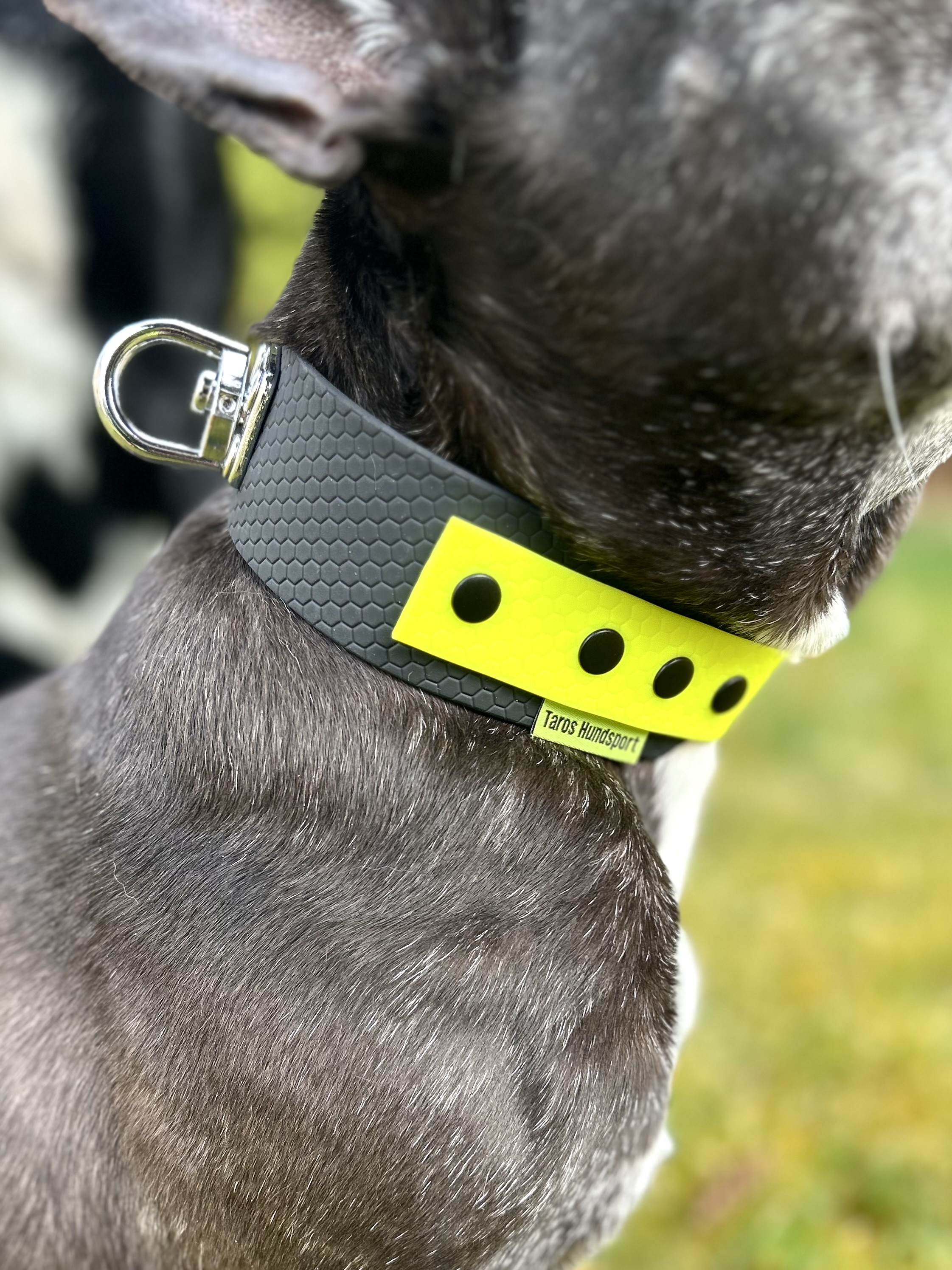 Spår-halsband i Hexa - 4