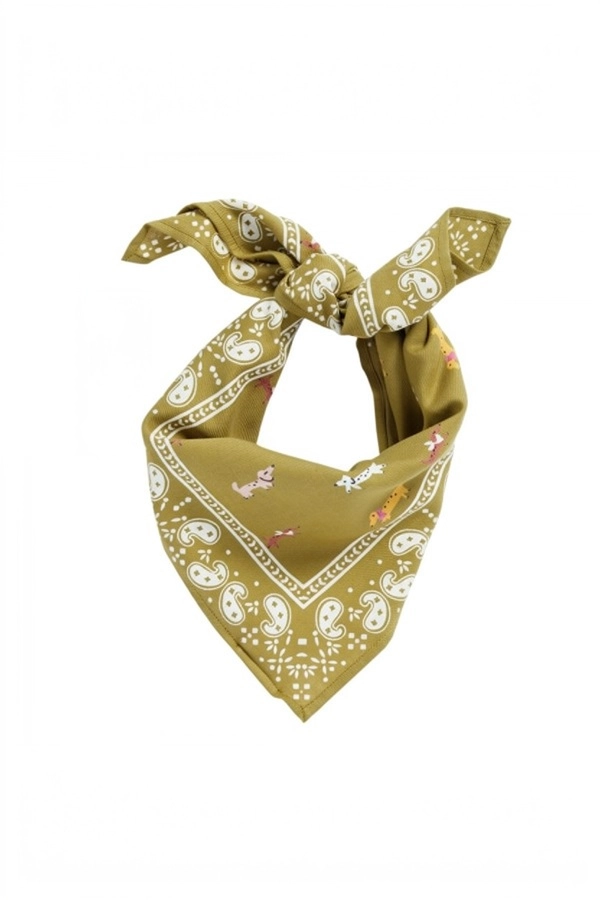 Scarf "Olive Dachshund"