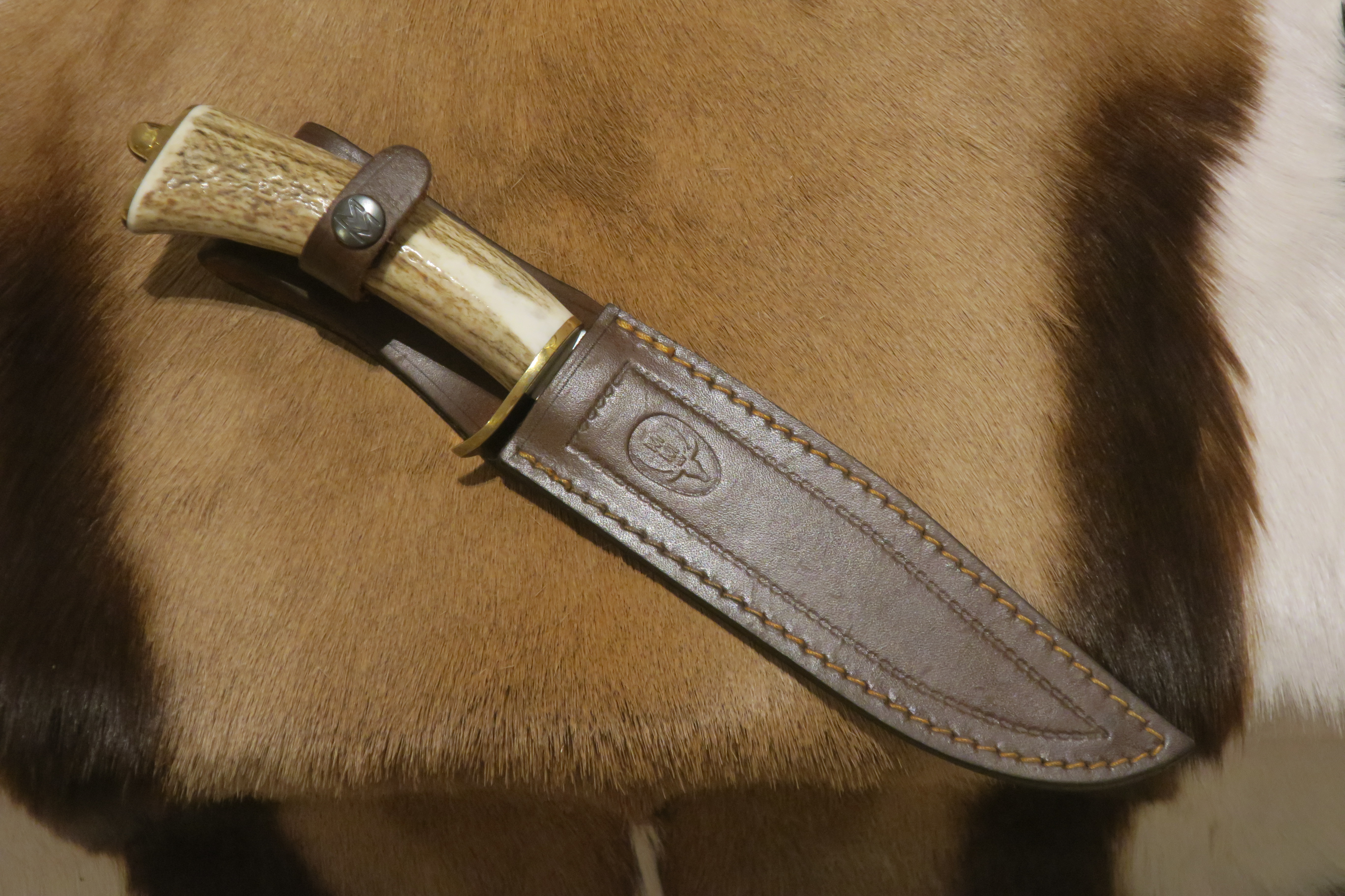 Elegant och klassisk mellanstor Jaktkniv - 3