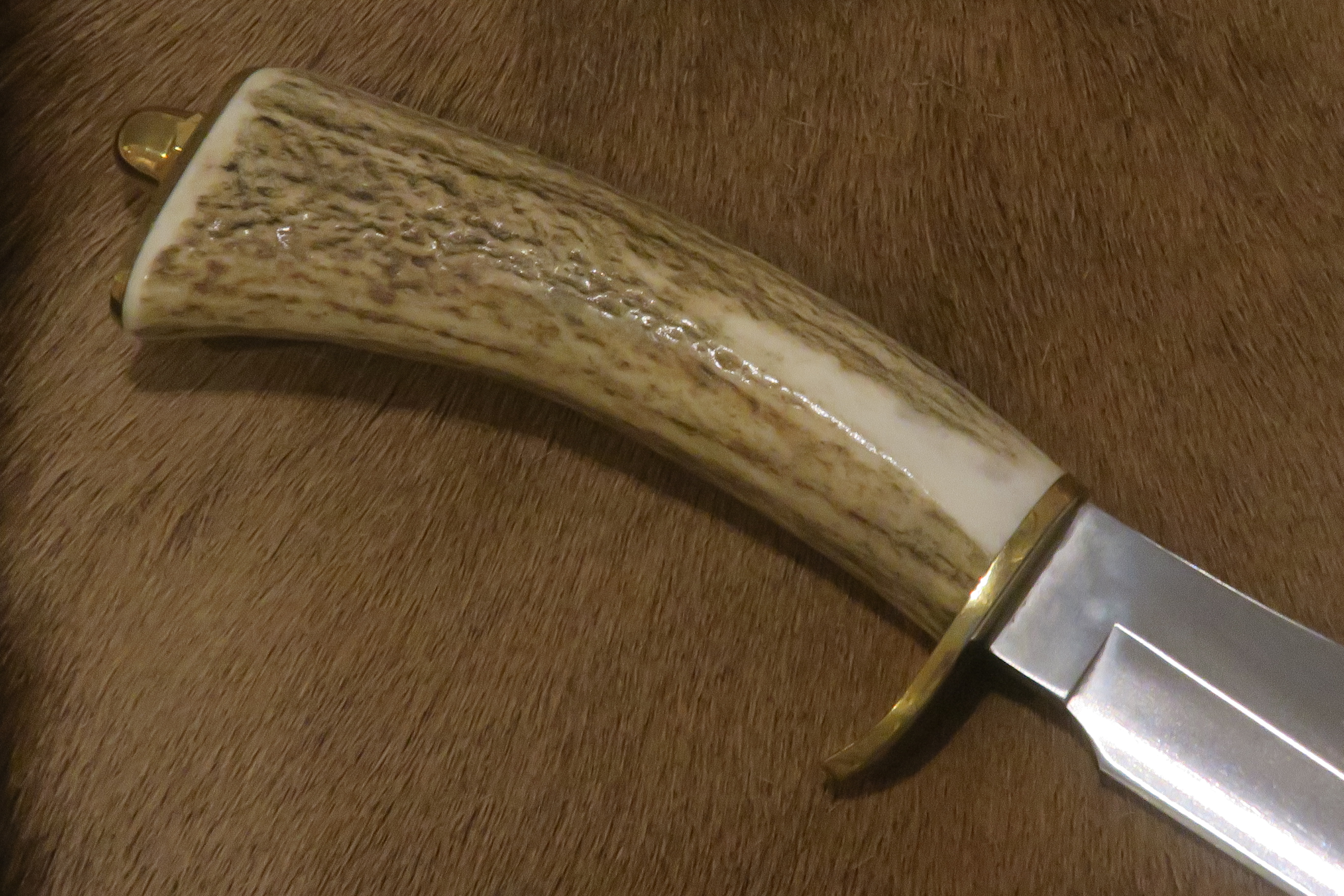 Elegant och klassisk mellanstor Jaktkniv - 2
