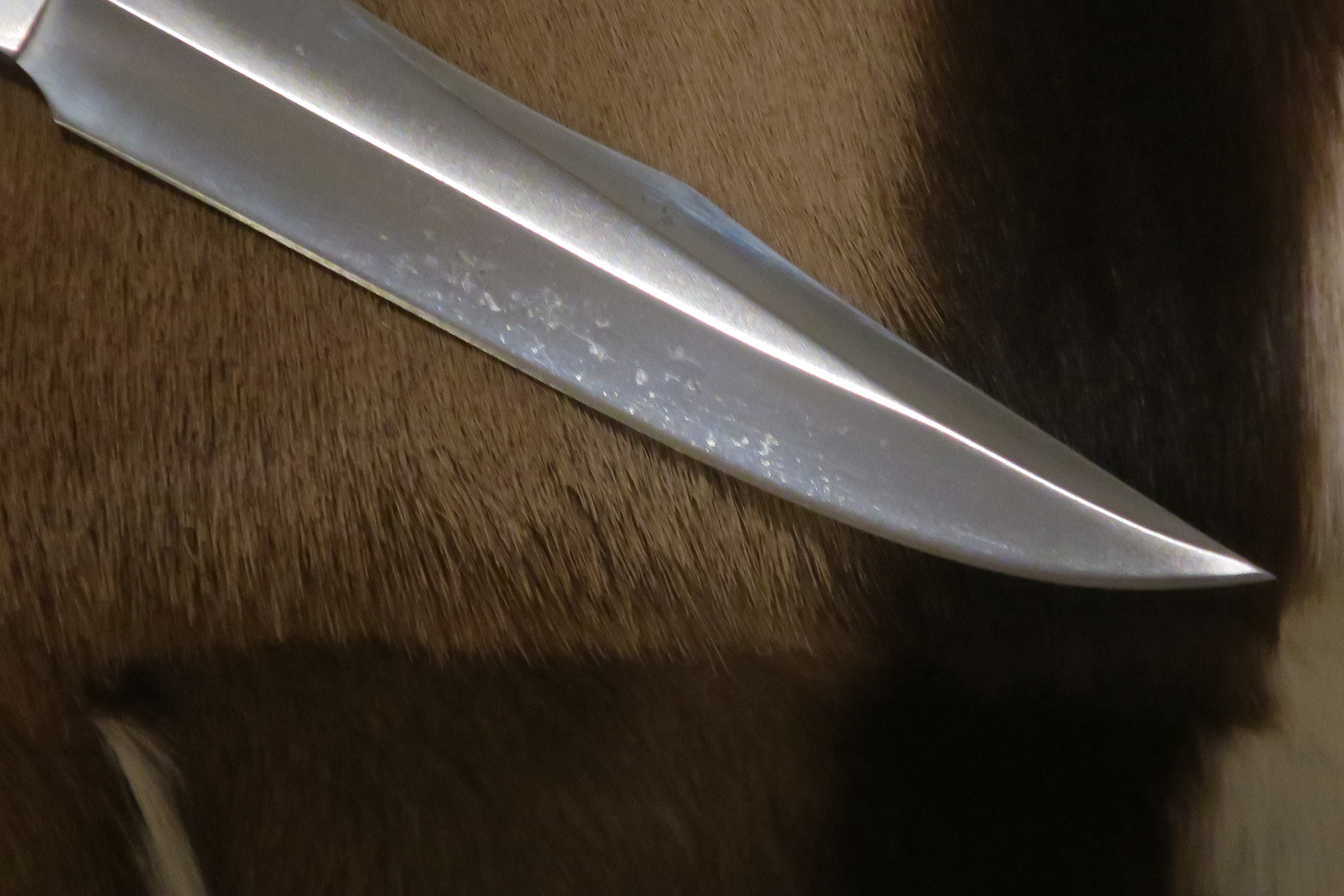 Elegant och klassisk mellanstor Jaktkniv - 6