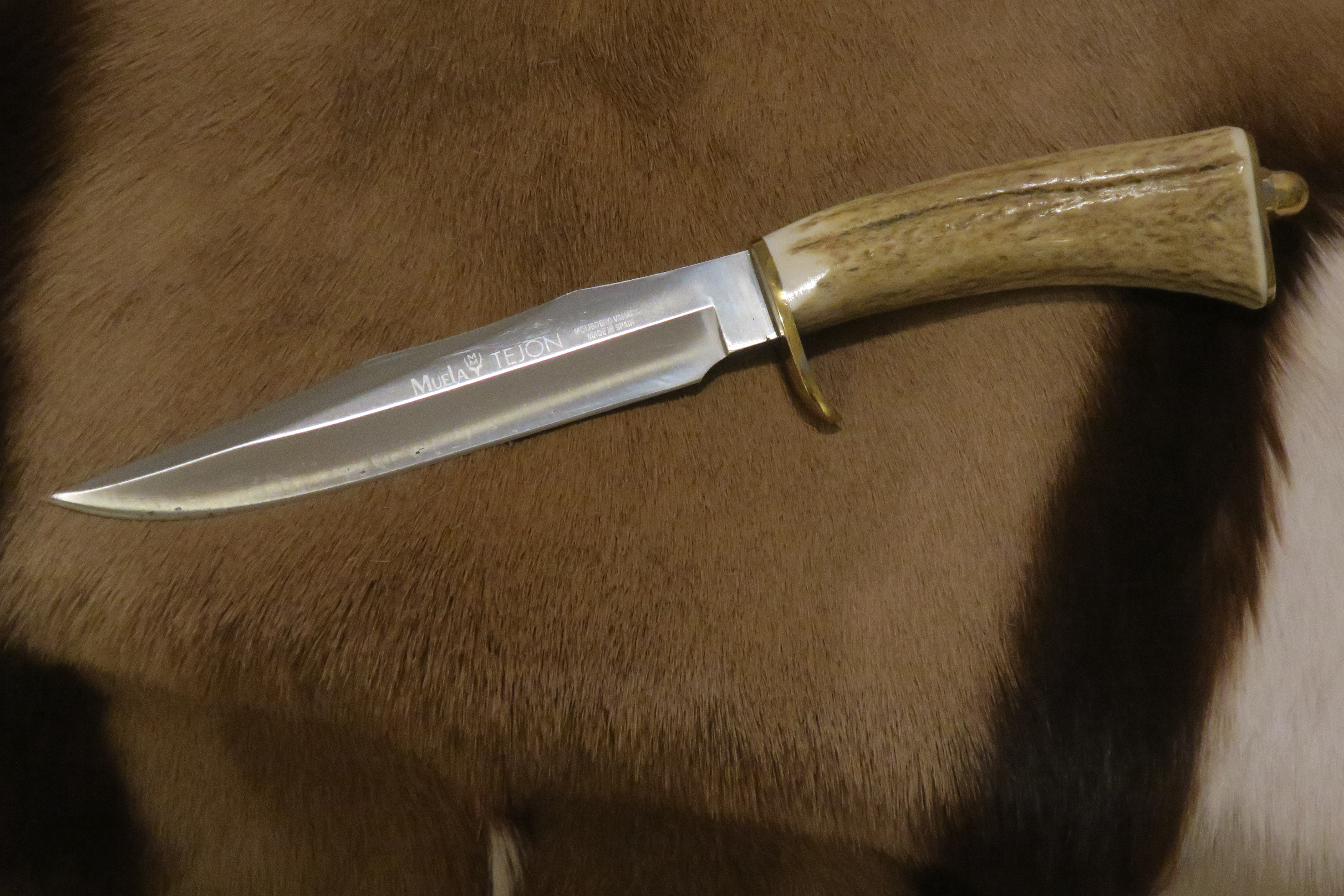 Elegant och klassisk mellanstor Jaktkniv - 4