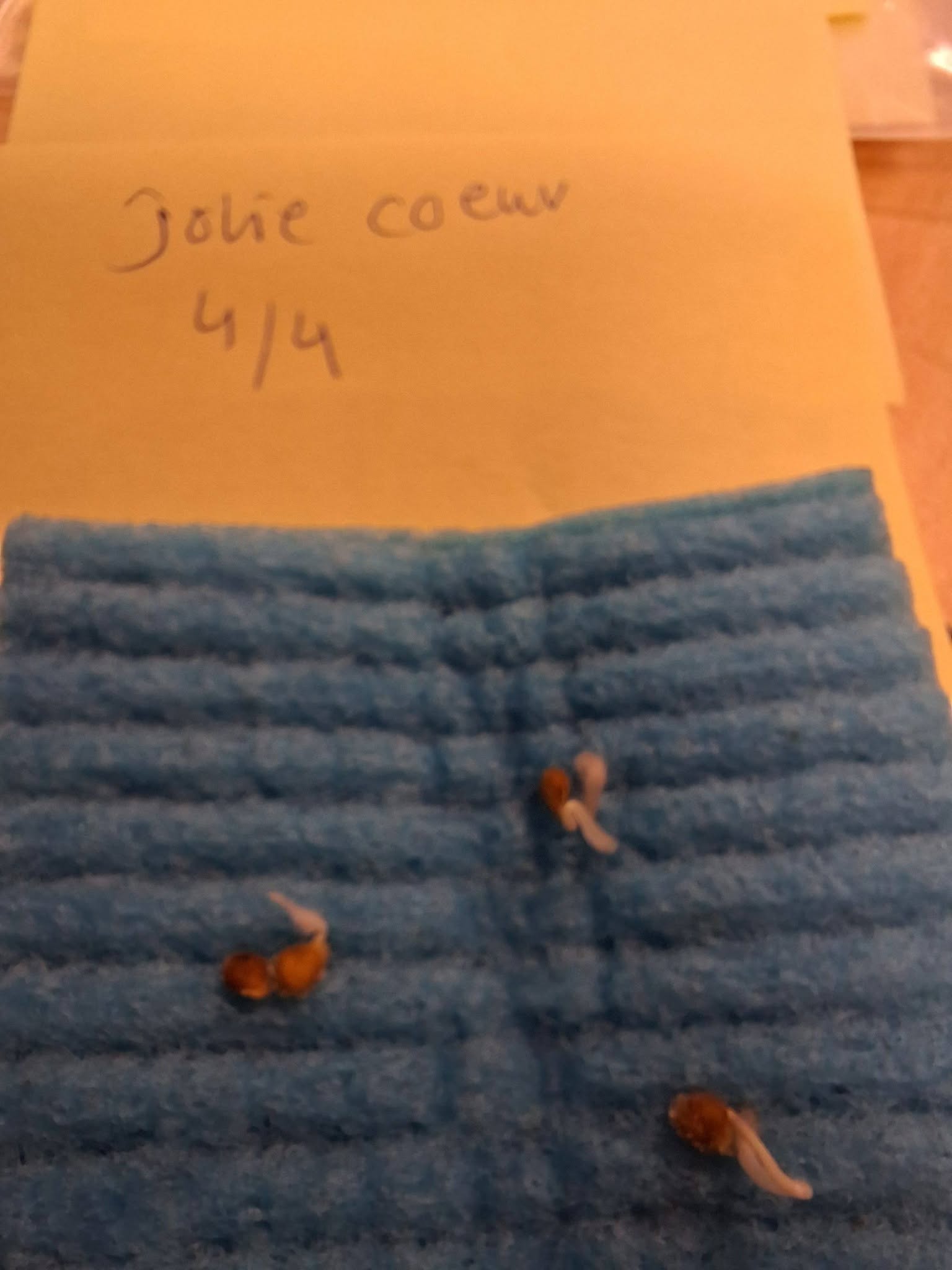 ÖLANDSODLAT  Tomat H34 Rot-Jolie Coeur, 5 frö  - 2