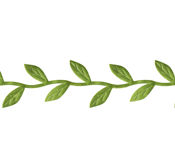 Band med blad - Grön