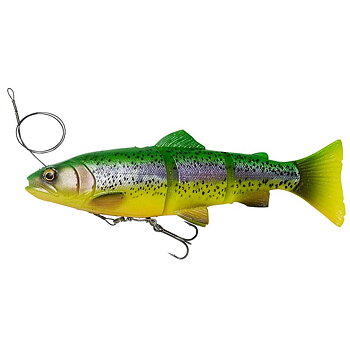 Savage Gear 4D Line Thru Trout är BETE FÖR STORA GÄDDOR SOM  en riktig öring. 25CM 180G