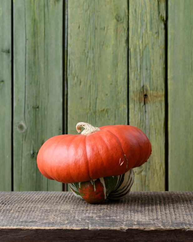 Pumpa - Turkish Turban