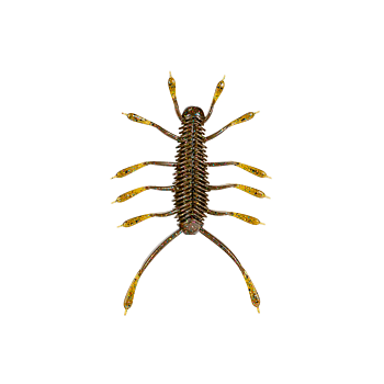 6th Sense HuzzBug 3" 6-pack
