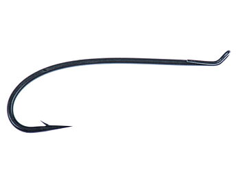 Core - Steelhead and Salmon C2441