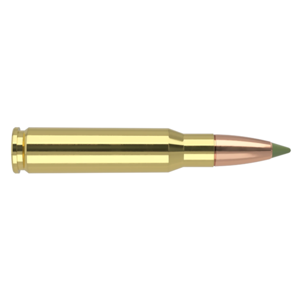 Nosler Expansion Tip – 308 Win 168 gr