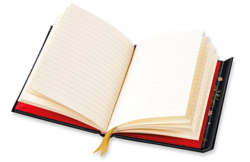 Bee: Jade Mosinski Journal