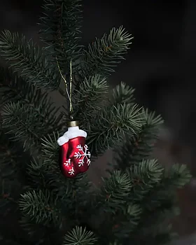 Vantar häng