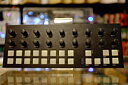 Torso Electronics T-1, Beg