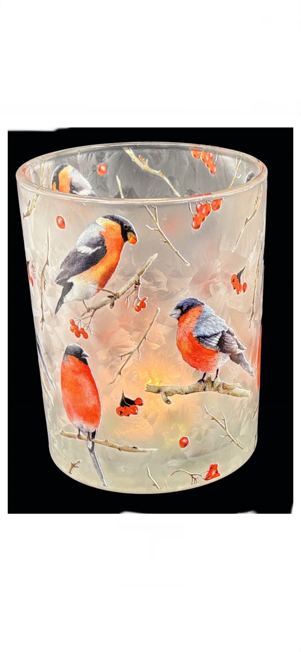Ljuslykta i glas med domherrar / korsnäbb 12,7 cm stor