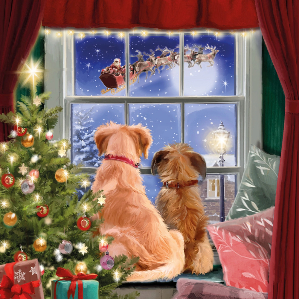 Julkort Otter House Hundmotiv Watching Santa 10-pack