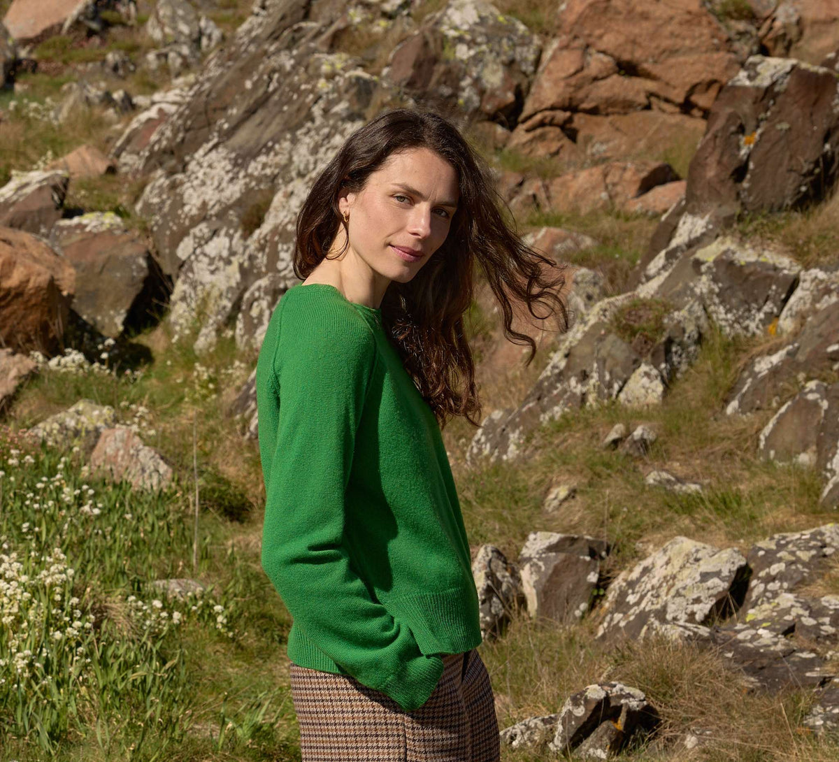 Miro ulltop