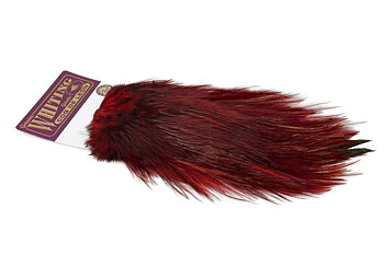 Whiting Coq de Leon Saddle Bronze - Golden Pheasant