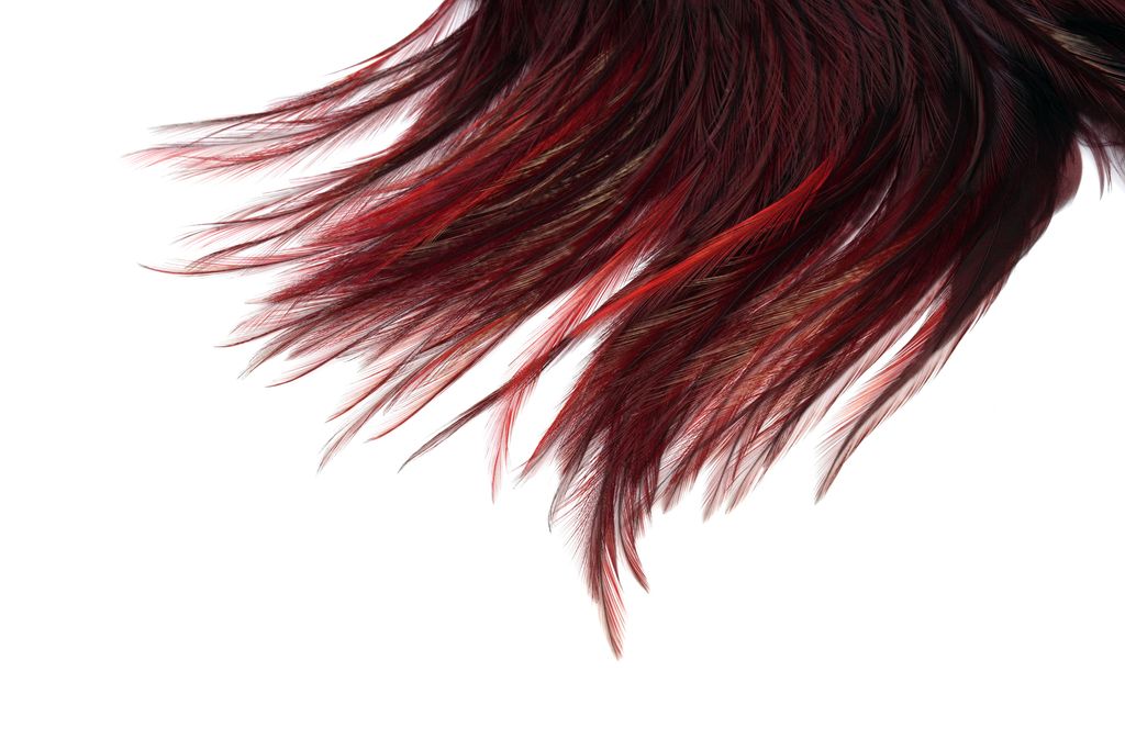 Whiting Coq de Leon Saddle Bronze - Golden Pheasant - 3
