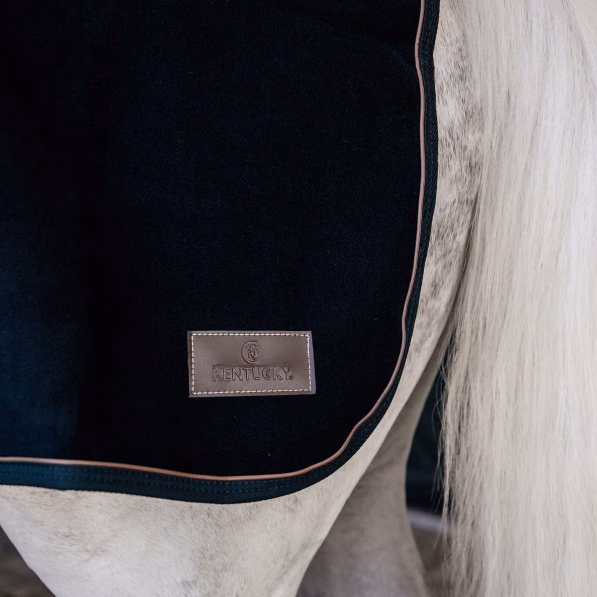 KENTUCKY  Ländtäcke Quarter Heavy Fleece Svart - 5