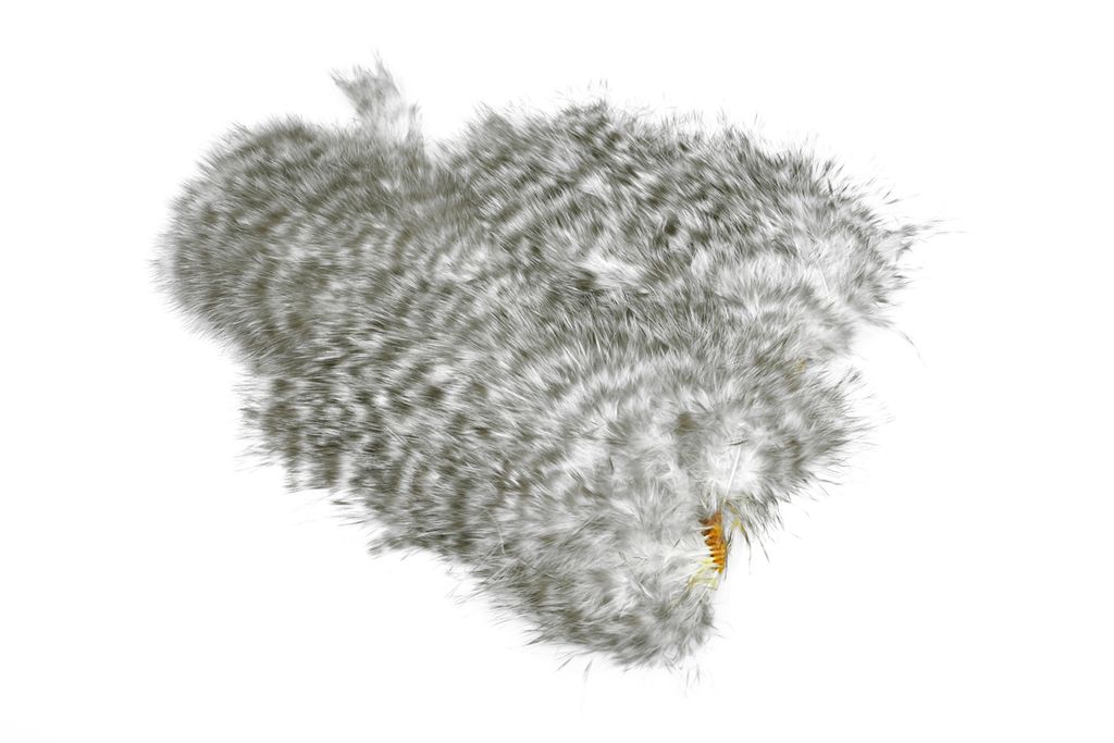 Whiting Spey SH/C - 2