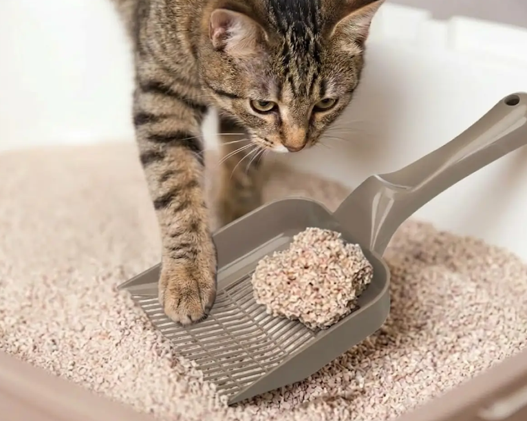 My Favourite Cat - Kattsand Softgrass 10 L - 3