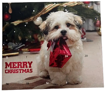 My favourite DOG - Adventskalender 2026