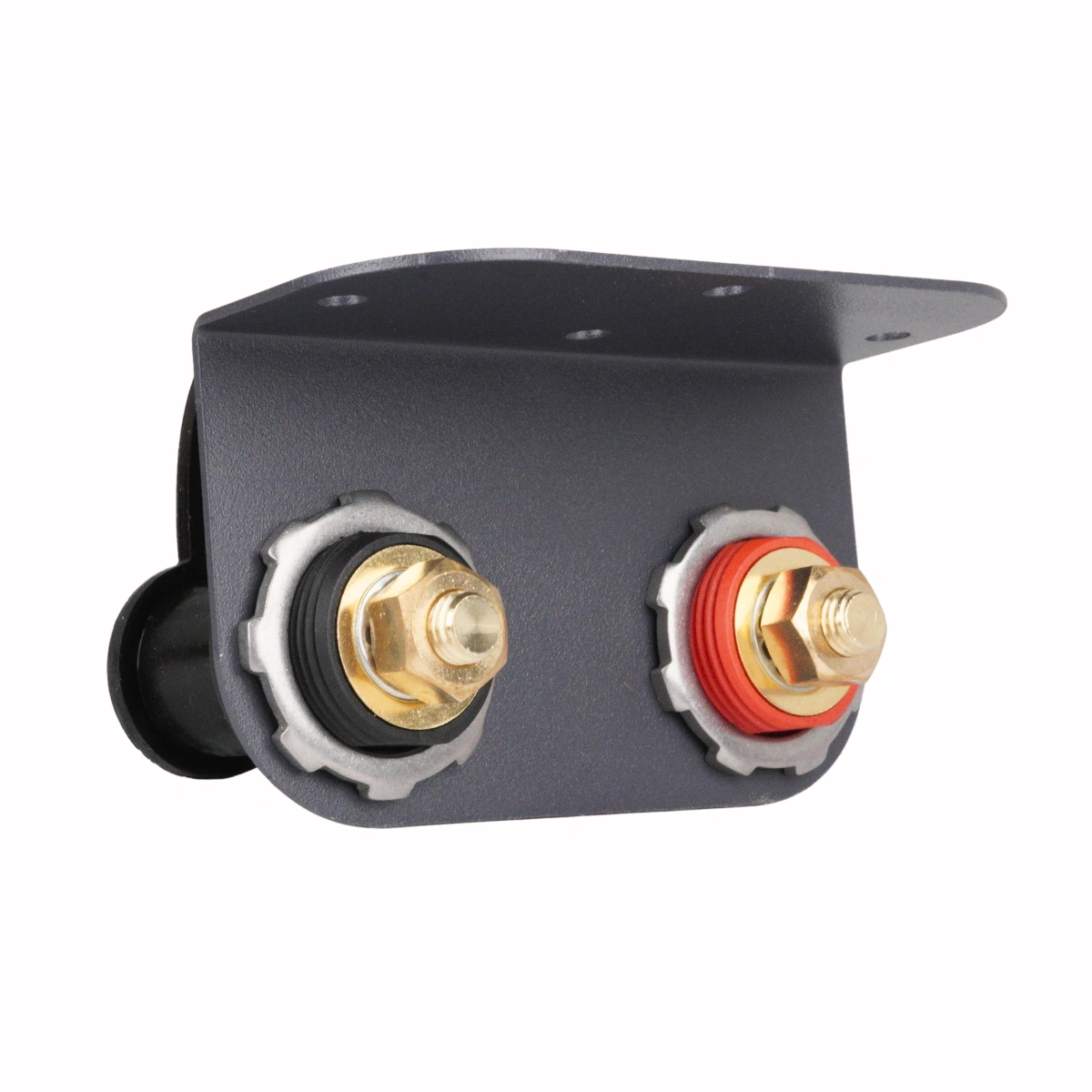 Batteri terminal Kit Svart / Röd - M10 - 4
