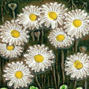 Aimo Nietosvuori (1970s) Green Wall Plaque with Colorful Ox-Eye Daisy Motif 24 cm #836