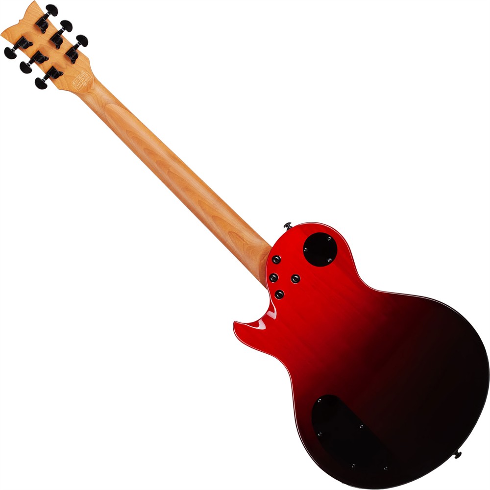 Schecter Solo-II Standard Bloodburst BB - 5