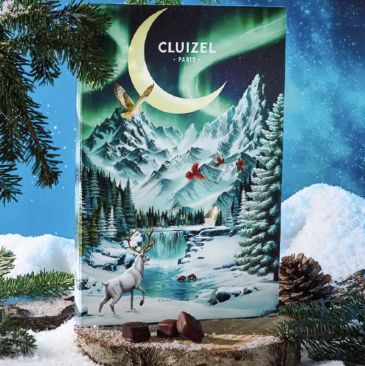 Adventskalender – Lyxig kalender med praliner från Cluizel 265g - 4