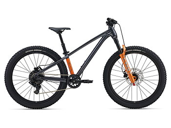GIANT STP 24