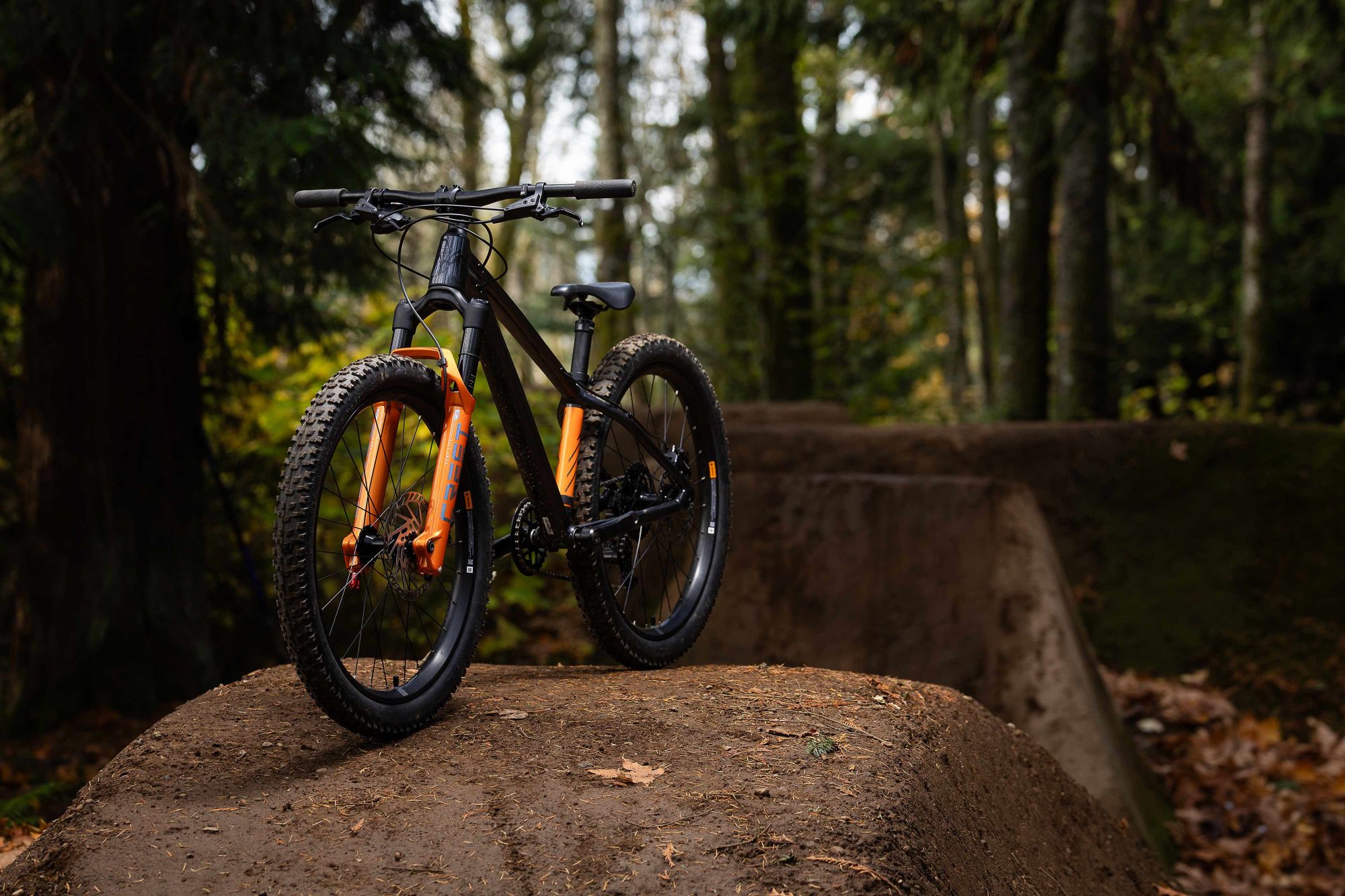 GIANT STP 24 - 2