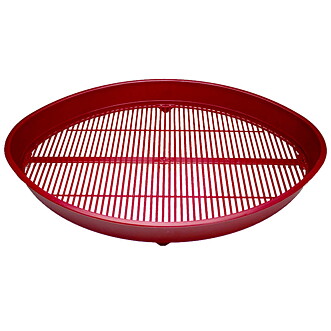 Bärrensare oval röd