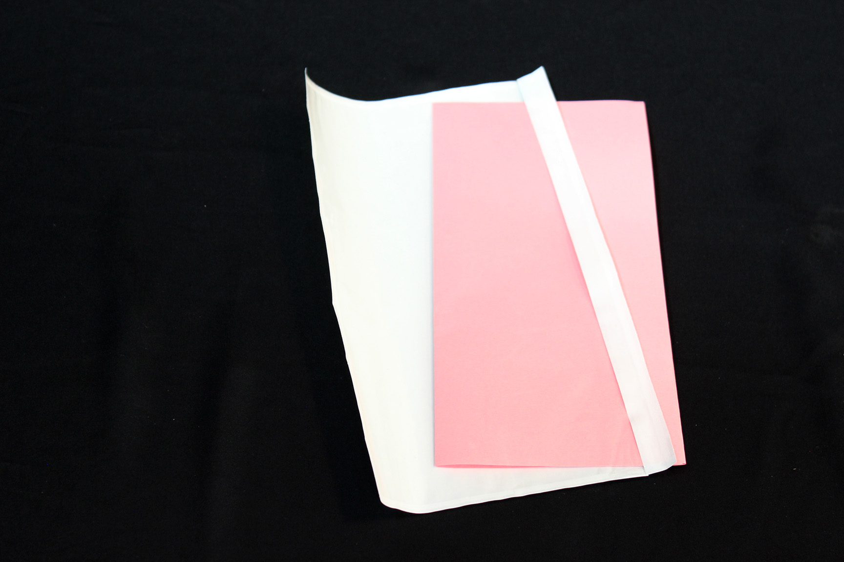 Plastficka till pacsoft 100-p)