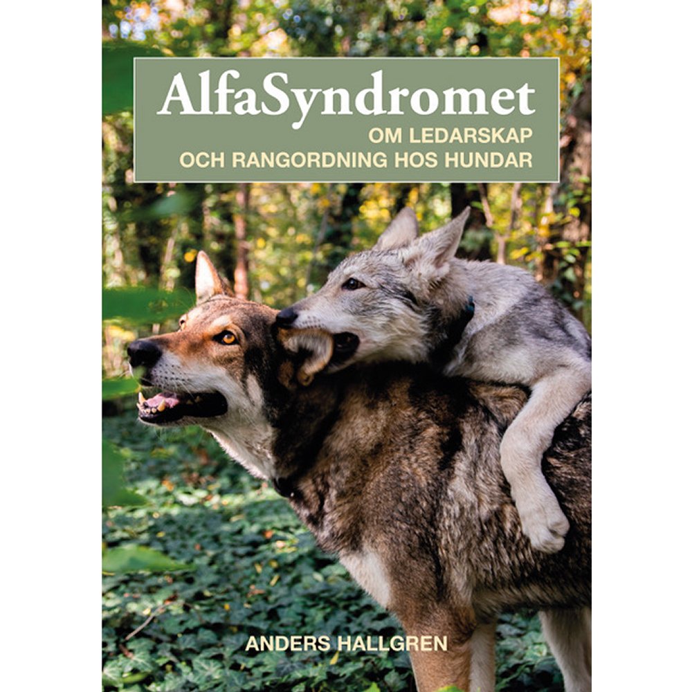 Alfasyndromet om ledarskap och rangordning hos hundar