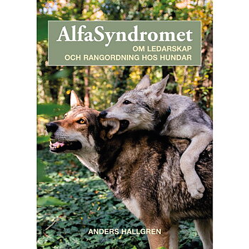 Alfasyndromet om ledarskap och rangordning hos hundar