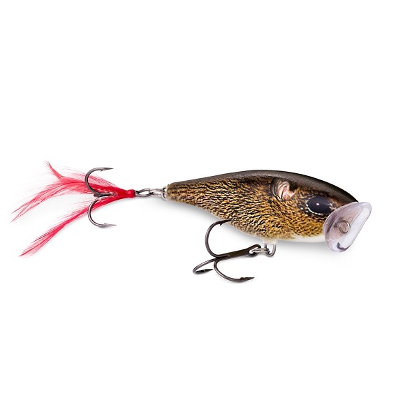 Rapala Skitter Pop 7cm/7g